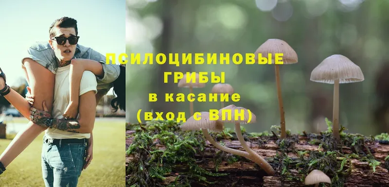 omg рабочий сайт  Белорецк  Галлюциногенные грибы Psilocybine cubensis 